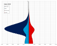 Qatar_single_age_population_pyramid_2020.png