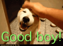 96BAE473-55EF-4A2A-BB6E-56AABCAE00FE.gif 96BAE473-55EF-4A2A-BB6E-56AABCAE00FE.gif