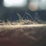 35ECA017-0B58-493D-B504-FF3C0698A1AA.gif 35ECA017-0B58-493D-B504-FF3C0698A1AA.gif