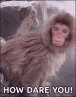 C6A61189-6385-4072-A72D-D3B5CC66F236.gif