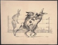 rabbitboxing.jpg