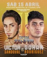 zanferboxing_1680761800756.jpg