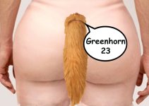 KRAFT HERZ ARSCH greenhorn.jpg KRAFT HERZ ARSCH greenhorn.jpg