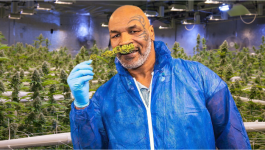 Tyson_Weed.png