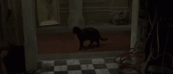 FineImmaterialFreshwatereel-max-1mb.gif