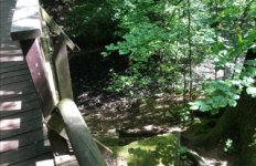 IMG_3379.jpeg