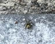 IMG_3329.jpeg