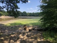 IMG_3705.jpeg