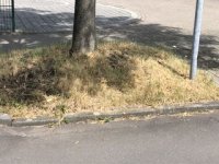 IMG_3852.jpeg
