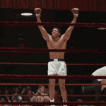 IMG_9535.gif IMG_9535.gif