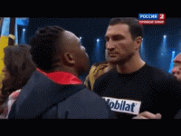 ArcticRedDuckling-max-1mb.gif ArcticRedDuckling-max-1mb.gif