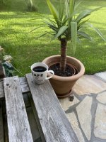 IMG_9404.jpeg