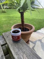 IMG_9412.jpeg