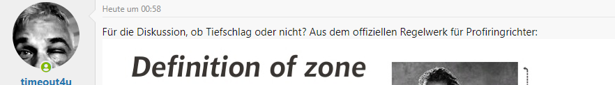 offiziellen Regelwerk für Profiringrichter.png offiziellen Regelwerk für Profiringrichter.png