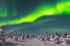Ruka4.GIF