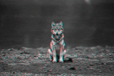 1699796112741.gif
