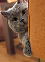 1705063007829.png 1705063007829.png