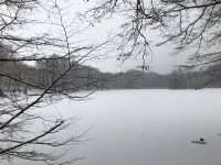 Iwinter.jpg