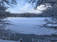 IMG_5068.jpeg