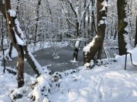 IMG_5075.jpeg