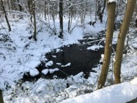 IMG_5072.jpeg