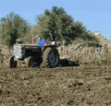 IMG_2476.gif