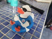 ente.jpg