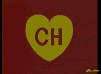 IMG_2538.gif