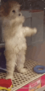 1706963544705.gif