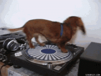 1706963651236.gif