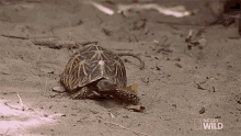 1706964209527.gif