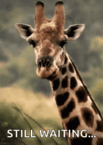 1706964260686.gif