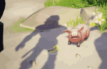 IMG_2609.gif IMG_2609.gif