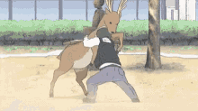 IMG_2551.gif