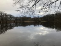 IMG_5230.jpeg