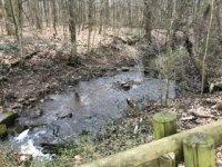 IMG_5232.jpeg