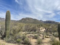 hike 10.jpg
