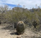 hike 12.jpg