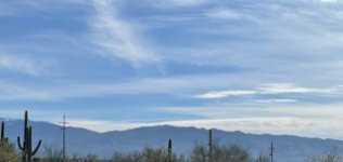 IMG_1774.jpg