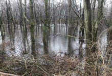 IMG_5303.jpeg