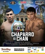 tmboxingoficial_1709004219301.jpg