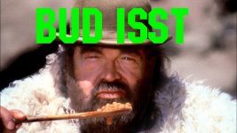 BUD ISST.jpeg