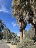 IMG_2555.JPG