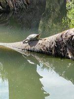 IMG_2552.jpg