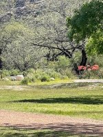 IMG_2554.jpg