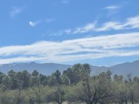 IMG_2584.jpg