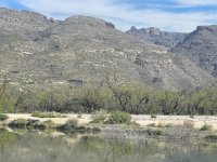IMG_2581.jpg