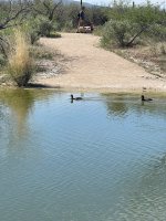 IMG_2575.jpg