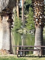 IMG_2539.jpg