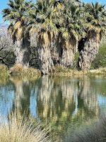 IMG_2548.jpg